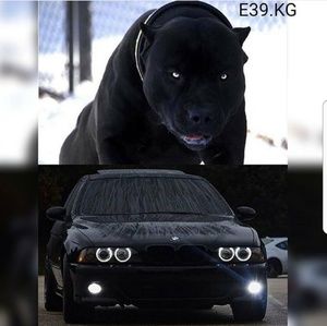 Meet your Posher, Nemesio